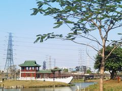 -王借岗森林公园