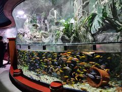 -太平洋海底世界