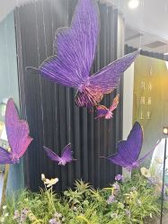 -苏州奥拉克美容医院