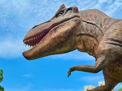 -海合安武汉极地海洋公园