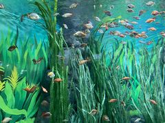 -上海海洋水族馆