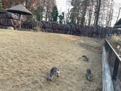 -武汉动物园