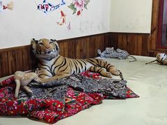 -果松木炭酸菜铜火锅·外婆参鸡汤