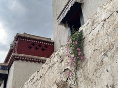 -五当召景区