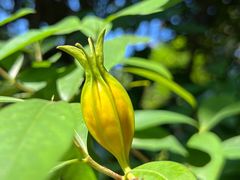 -广州神农草堂中医药博物馆