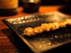 鸡软骨-串鑫