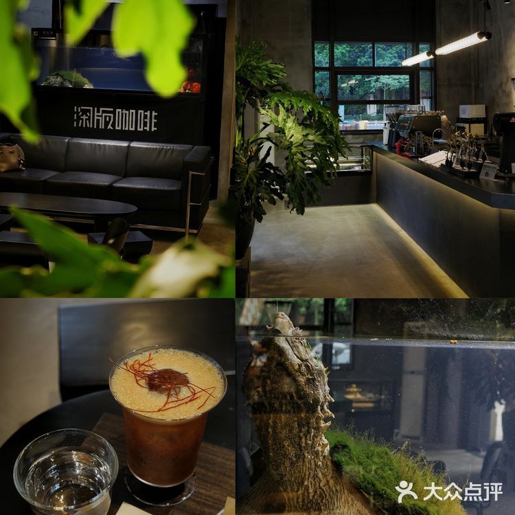 城市咖啡角落随性一刻🐢与保安室巨型龟的午后