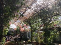 -The Grounds of Alexandria