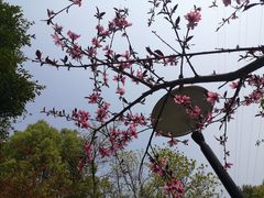 -重庆彩云湖湿地公园