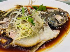 -双井轩(双井店)