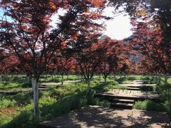 -云漫湖生态度假公园