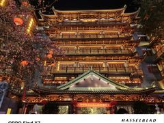 -大佛古寺