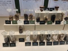 -广东中医药博物馆