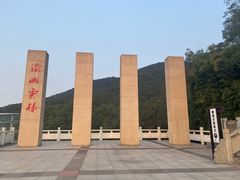 -铁山坪森林公园