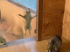 -昆明青龙峡风景区