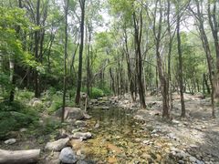 -玉渡山自然风景区