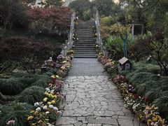 -南园(太仓市)