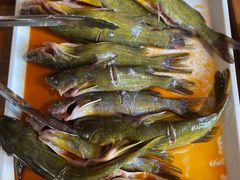 -融泽漁悦三只耳鱼火锅(南郑大道店)