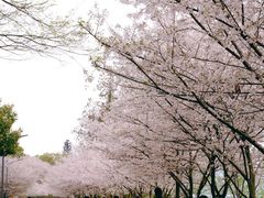 -团城山公园