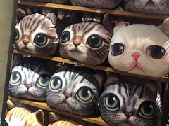 -猫咪博物馆(顶澳仔猫街店)