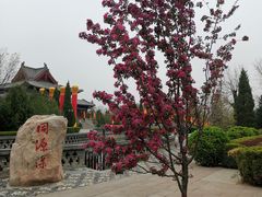 -大槐树寻根祭祖园