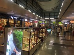 -连城·新天地(福华一路店)