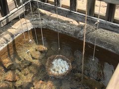 -天芳悦潭度假村温泉