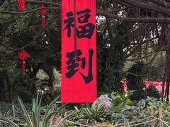 -南宁南湖公园