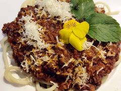 传统意大利肉酱面-威克特披萨汉堡