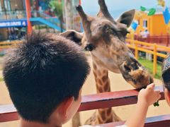 -西霞口神雕山野生动物世界