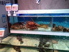 -盒马鲜生(首义店)