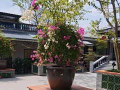 -中山市绿华园食府