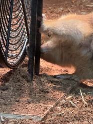 点击看大图 -Zoolung Zoolung动物主题公园(海信广场店)