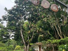 -中国科学院西双版纳热带植物园