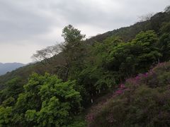 -广州市石门国家森林公园