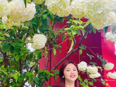 -大龙山(地铁站)