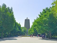 -玲珑塔公园