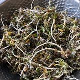 春的气息～