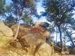 -崂山仰口游览区