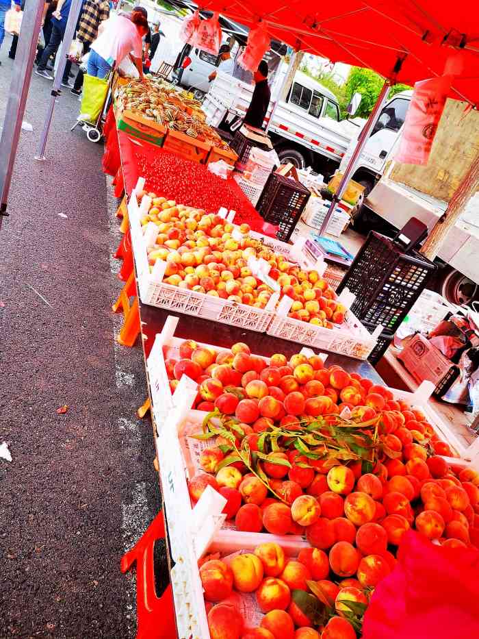 北塘海货早市-"北塘馨宇家园小区后门这里,有一个大小市场.