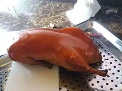 -金蝉食府(维吉奥广场店)