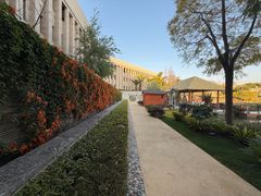 -抚仙湖万达文华酒店