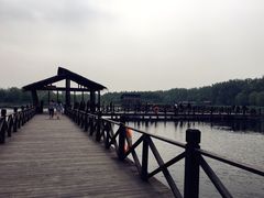 -溱湖国家湿地公园