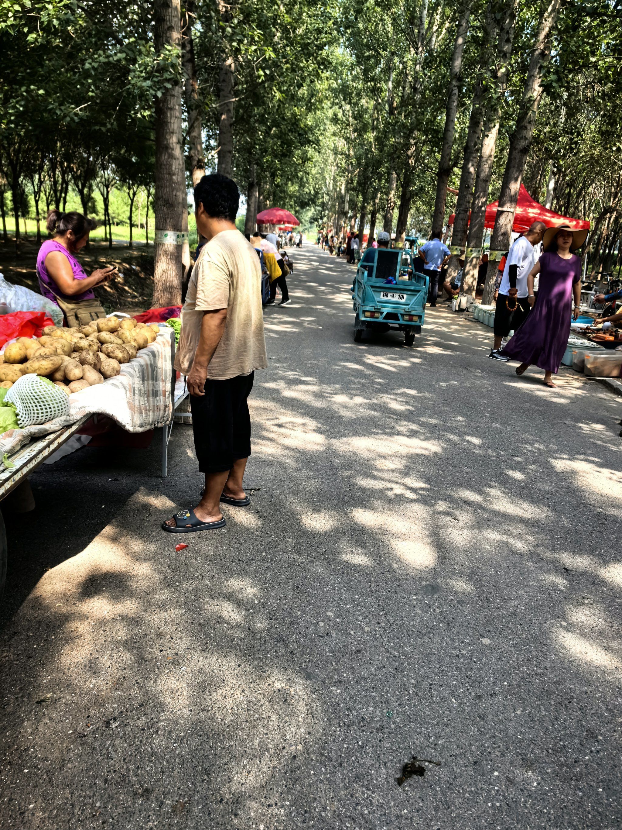 大兴魏善庄大狼垡大集,每周一三六下午两点