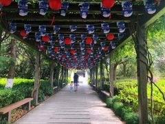 -白马涧龙池景区