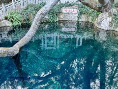 -蝴蝶泉公园