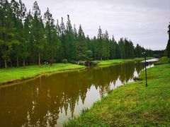 -黄海国家森林公园