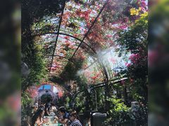 -The Grounds of Alexandria