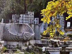 -圆明园遗址公园-藻园门售票处