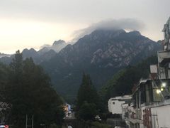 -自游人·美食一楼·地道徽菜(三十年名店)